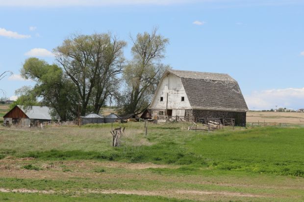 Barn
